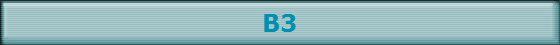 B3
